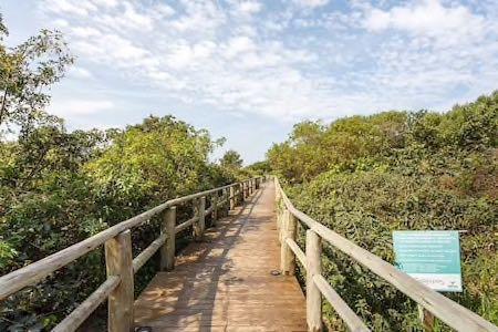 Apartment Essence Life Campeche